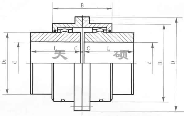 <strong>WG Ⅱ型鼓形齒式聯軸器</strong>